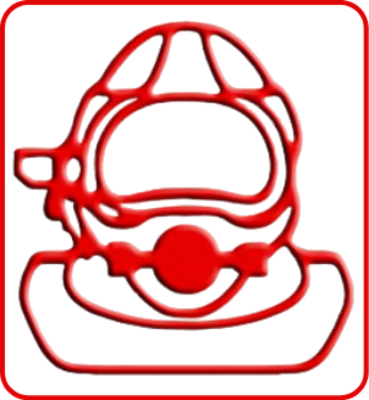 JASALINDO logo
